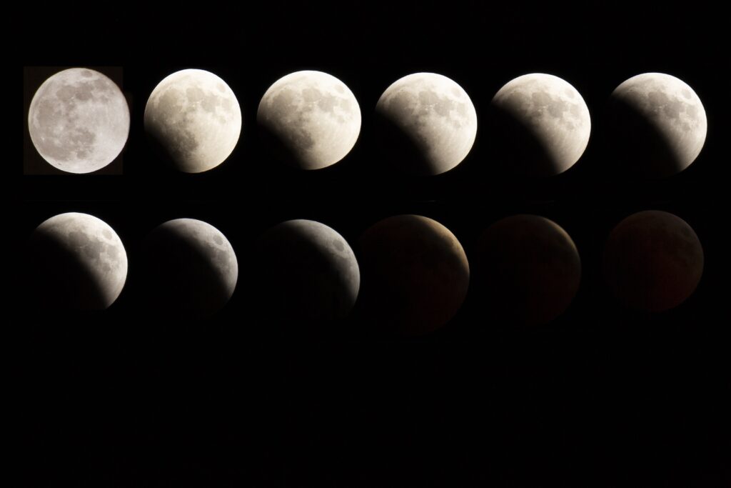 all twelve signs every month